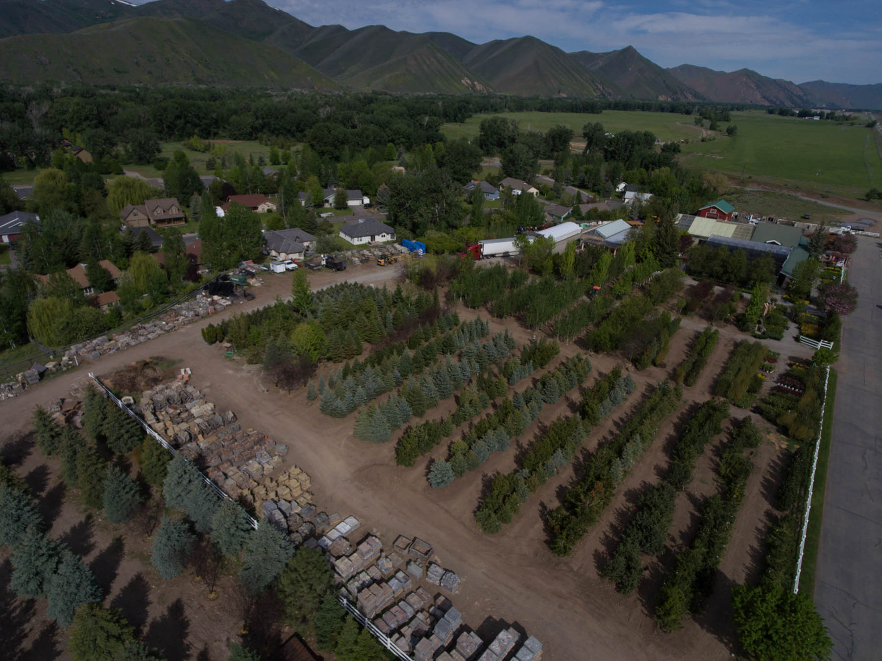 Nursery Sun Valley Garden Center