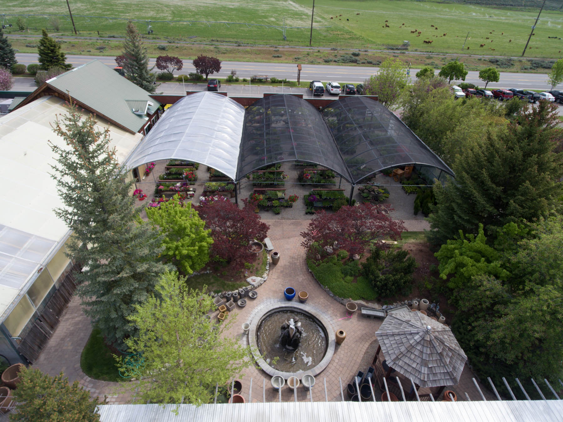 Nursery Sun Valley Garden Center