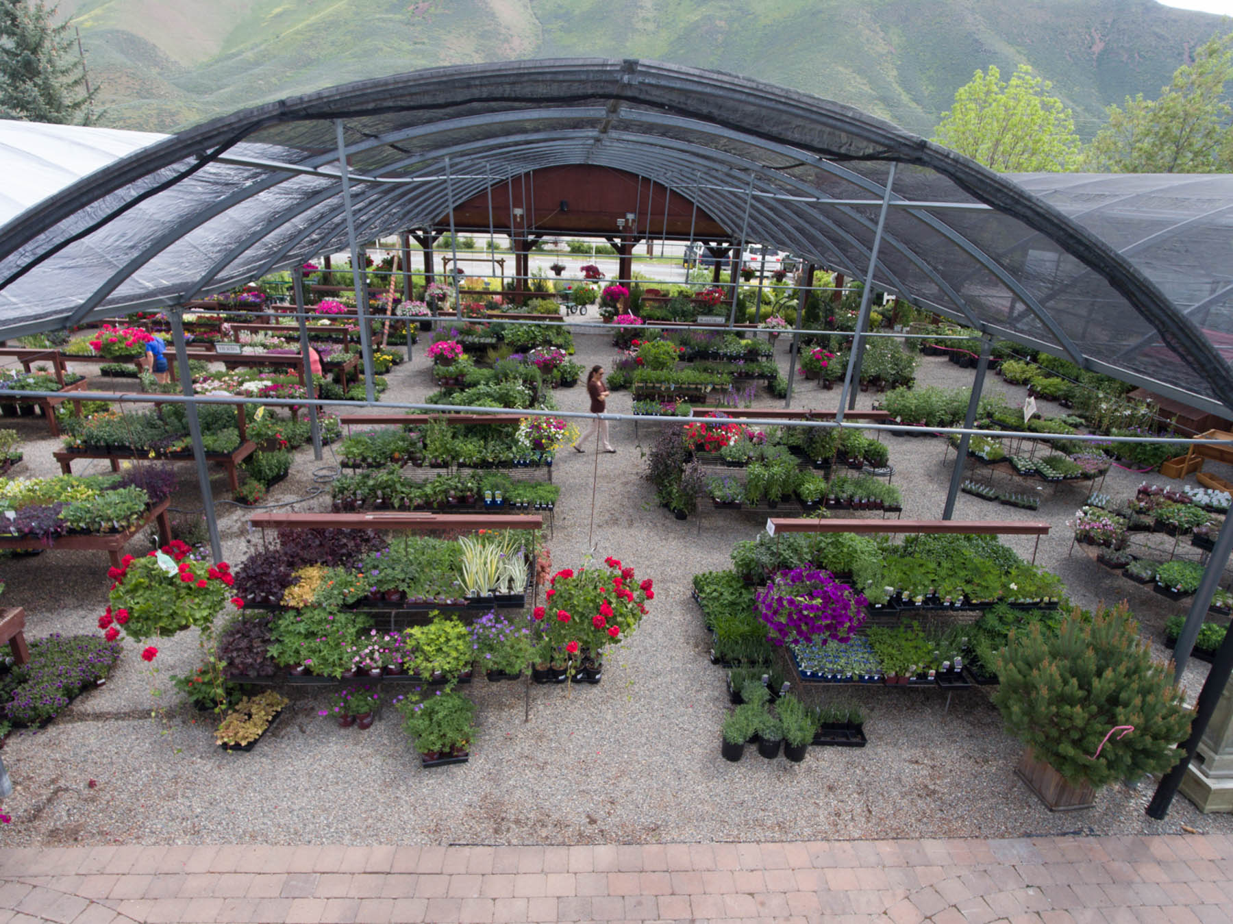 Nursery Sun Valley Garden Center