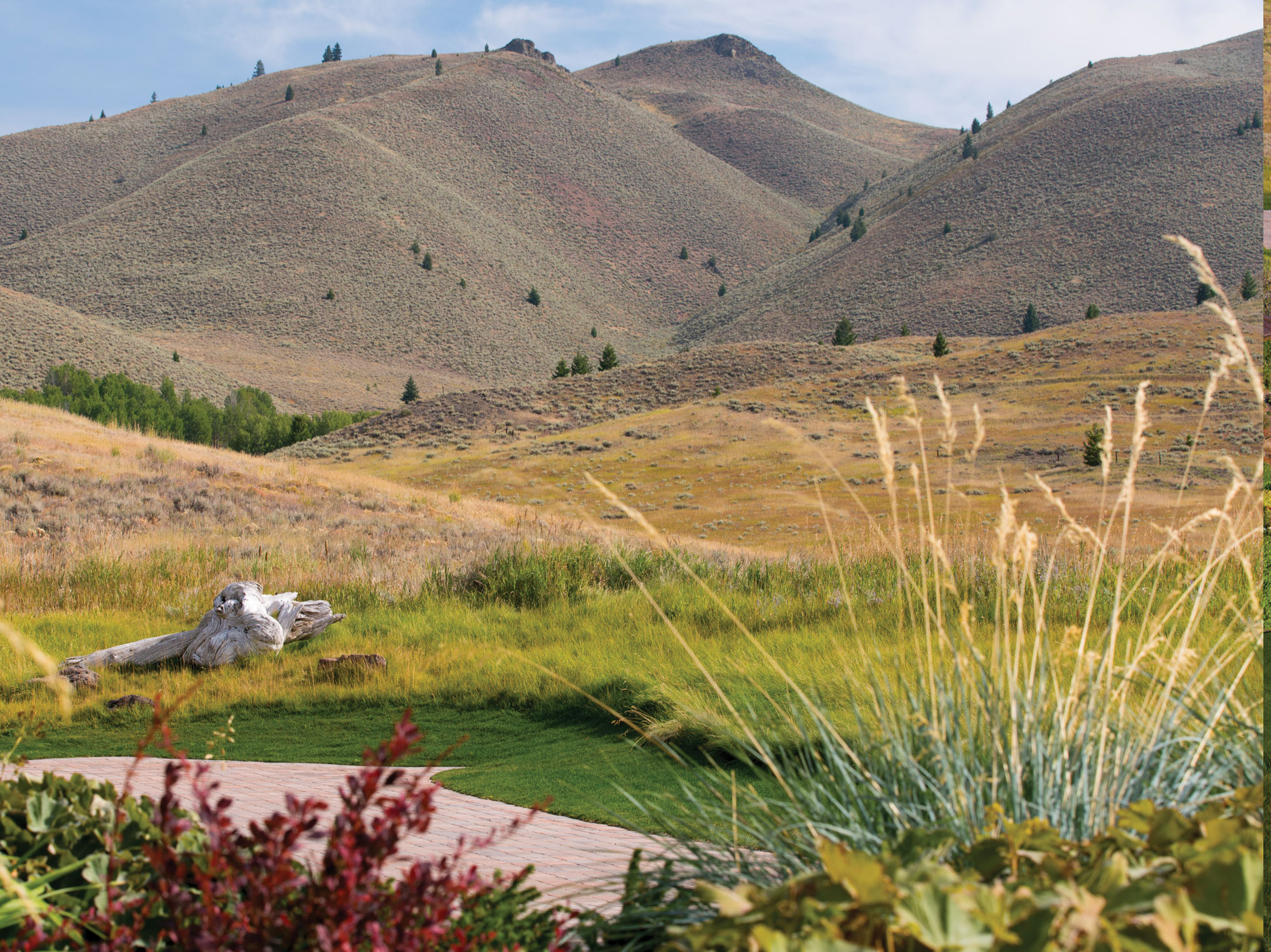 Landscaping Sun Valley Garden Center